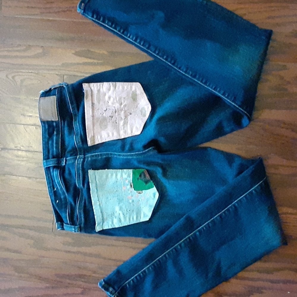 American Eagle Outfitters NE(X)T LEVEL stretch hand painted pockets 2 Short EUC…